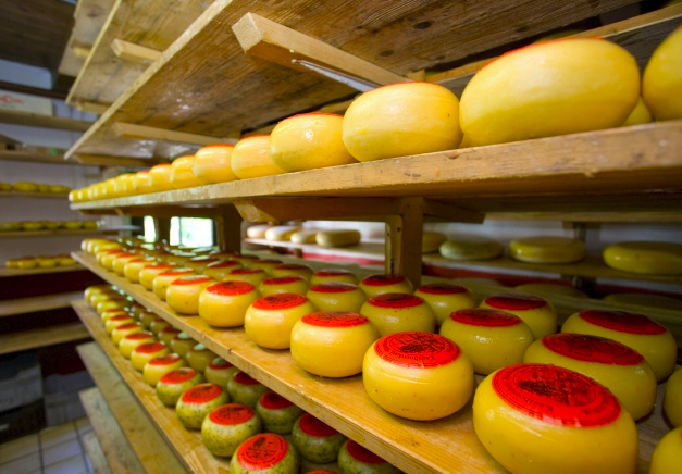 kaasboerderij harmienehoeve winterswijk woold